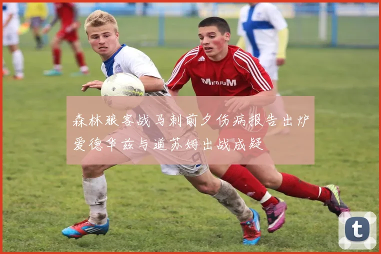 森林狼客战马刺前夕伤病报告出炉爱德华兹与道苏姆出战成疑
