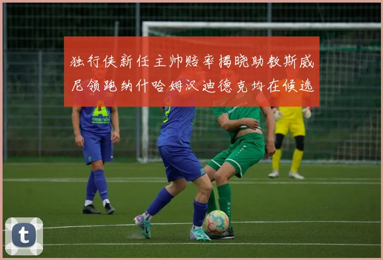 独行侠新任主帅赔率揭晓助教斯威尼领跑纳什哈姆汉迪德克均在候选之中